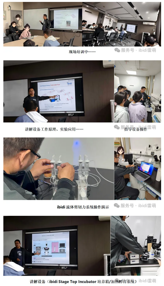 Screenshot 2025-10-24 at 13-47-42 【雷萌生物】技術(shù)賦能科研 ibidi流體剪切力系統(tǒng)&活細胞工作站裝機培訓圓滿落幕.png